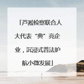 芦淞检察联合人大代表“典”亮企业，沉浸式普法护航小微发展